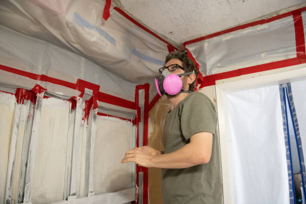 Best Mold Damage Restoration  in East Marion, NY